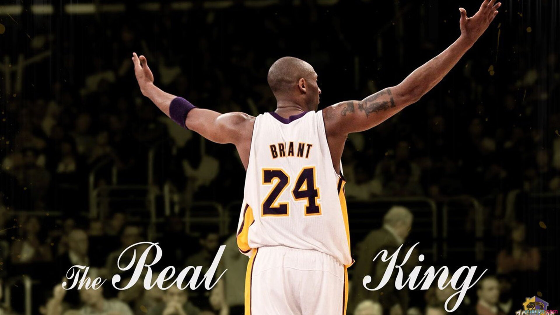 北美职业橄榄球分区决赛 四分卫巅峰对决再度上演